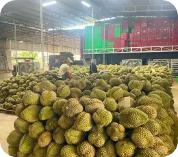 Sản phẩm trái cây