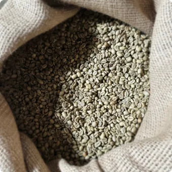 Hạt cà phê