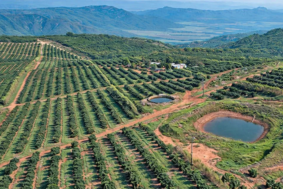 Nông Trại Đắk Nông